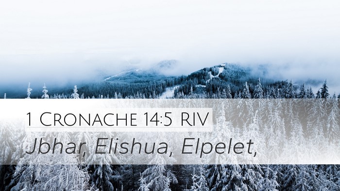 1 Cronache 14:5 RIV Bible Verse Image