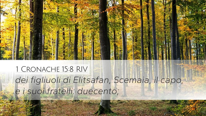 1 Cronache 15:8 RIV Desktop Wallpaper - dei figliuoli di Elitsafan, Scemaia, il capo, e i - Desktop Bible Verse Wallpaper