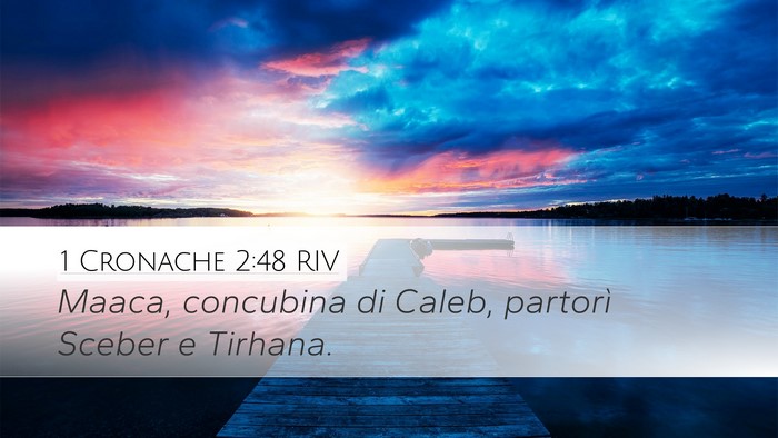 1 Cronache 2:48 RIV Desktop Wallpaper - Maaca, concubina di Caleb, partorì Sceber e - Desktop Bible Verse Wallpaper