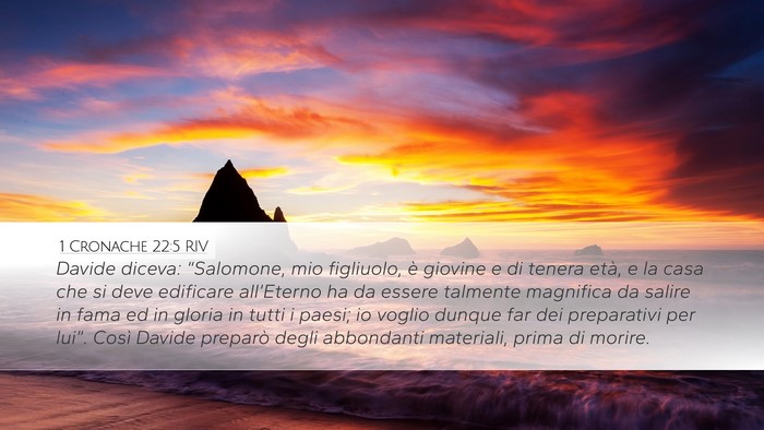 1 Cronache 22:5 RIV Bible Verse Image