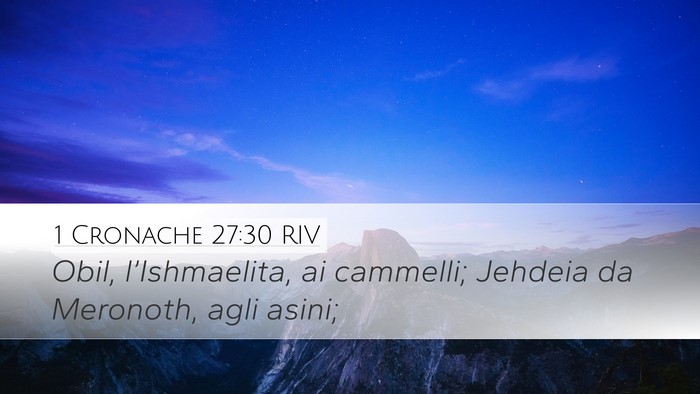 1 Cronache 27:30 RIV Desktop Wallpaper - Obil, l’Ishmaelita, ai cammelli; Jehdeia da - Desktop Bible Verse Wallpaper