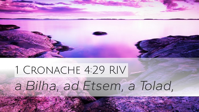 1 Cronache 4:29 RIV Bible Verse Image
