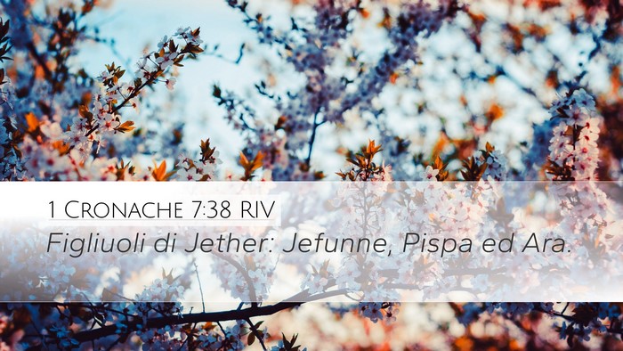 1 Cronache 7:38 RIV Desktop Wallpaper - Figliuoli di Jether: Jefunne, Pispa ed - Desktop Bible Verse Wallpaper
