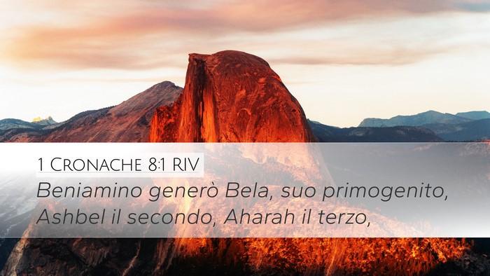 1 Cronache 8:1 RIV Bible Verse Image