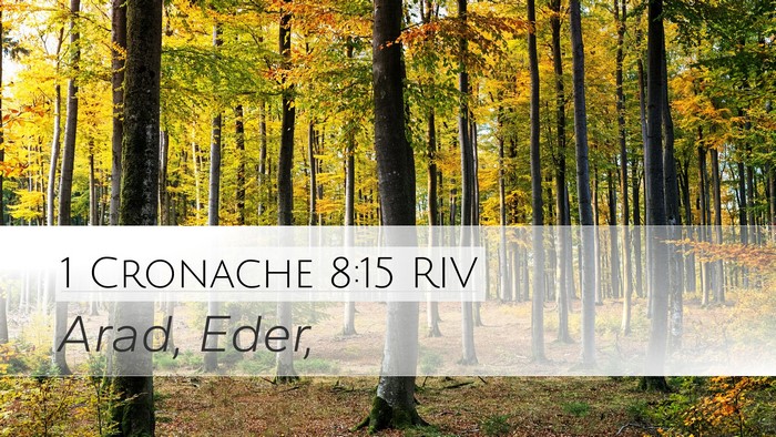 1 Cronache 8:15 RIV Desktop Wallpaper - Arad, - Desktop Bible Verse Wallpaper