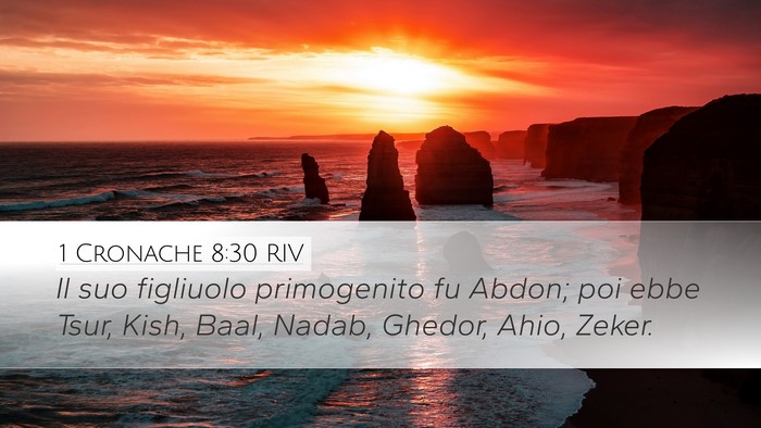 1 Cronache 8:30 RIV Bible Verse Image
