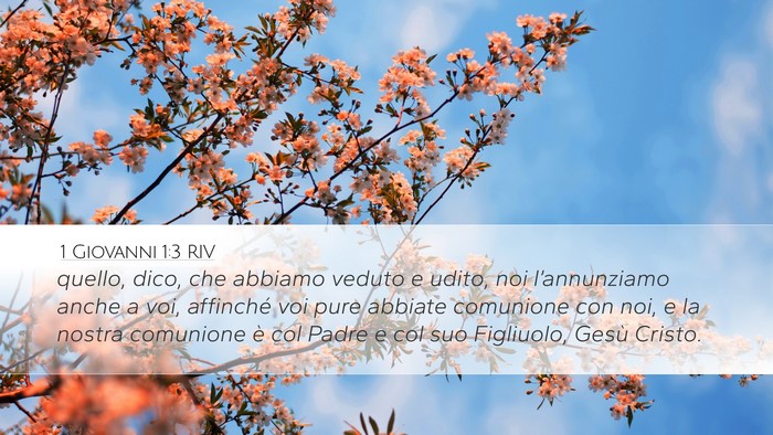 1 Giovanni 1:3 RIV Bible Verse Image