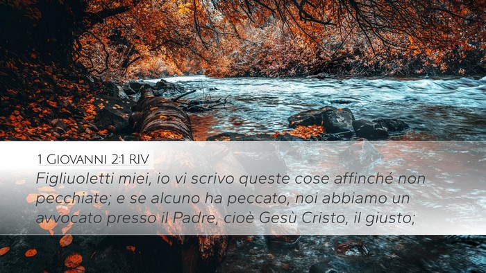 1 Giovanni 2:1 RIV Bible Verse Image