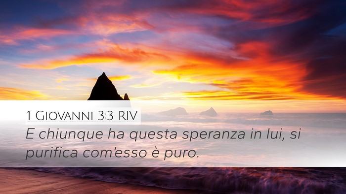 1 Giovanni 3:3 RIV Bible Verse Image