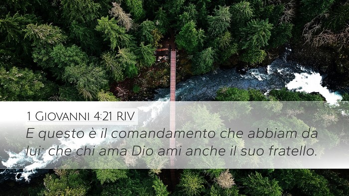 1 Giovanni 4:21 RIV Bible Verse Image