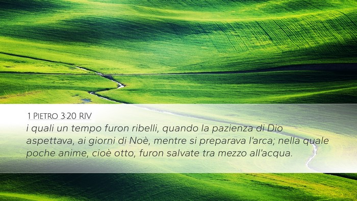 1 Pietro 3:20 RIV Bible Verse Image