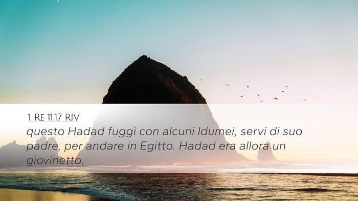 1 Re 11:17 RIV Desktop Wallpaper - questo Hadad fuggì con alcuni Idumei, servi di - Desktop Bible Verse Wallpaper