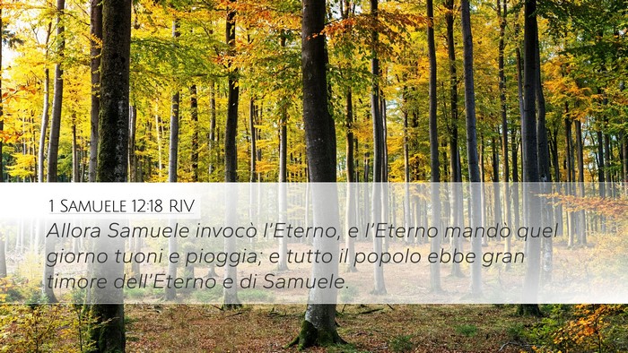 1 Samuele 12:18 RIV Bible Verse Image