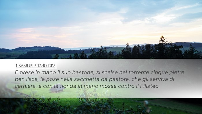 1 Samuele 17:40 RIV Bible Verse Image