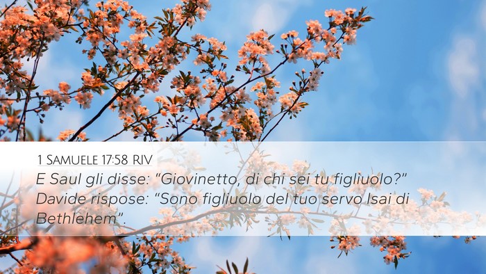1 Samuele 17:58 RIV Bible Verse Image