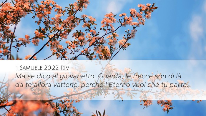 1 Samuele 20:22 RIV Desktop Wallpaper - Ma se dico al giovanetto: Guarda, le frecce son - Desktop Bible Verse Wallpaper