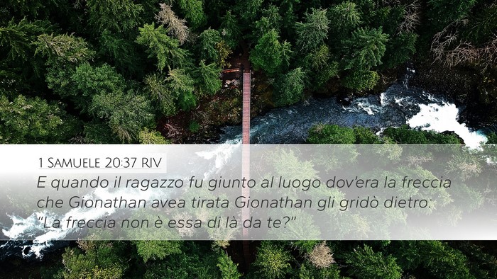 1 Samuele 20:37 RIV Bible Verse Image