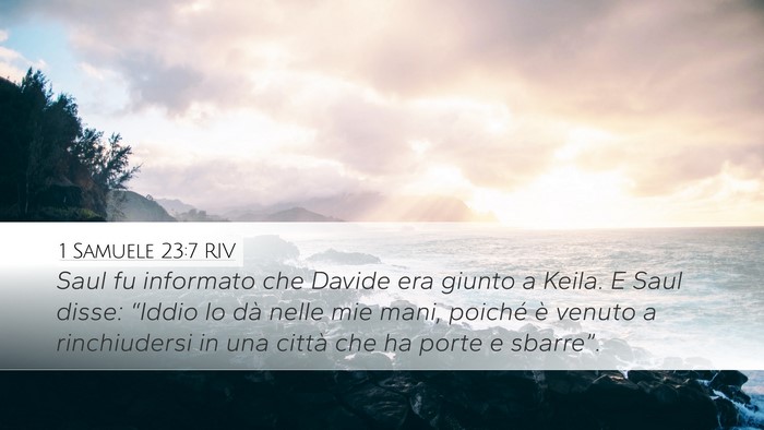 1 Samuele 23:7 RIV Bible Verse Image