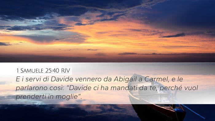 1 Samuele 25:40 RIV Desktop Wallpaper - E i servi di Davide vennero da Abigail a Carmel, - Desktop Bible Verse Wallpaper