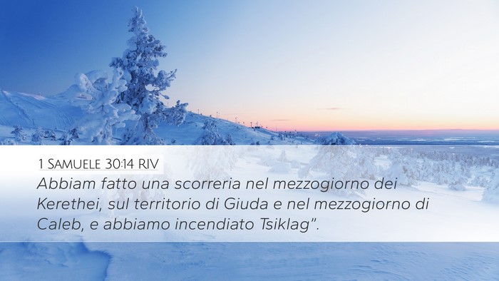 1 Samuele 30:14 RIV Bible Verse Image