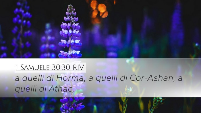 1 Samuele 30:30 RIV Desktop Wallpaper - a quelli di Horma, a quelli di Cor-Ashan, a - Desktop Bible Verse Wallpaper
