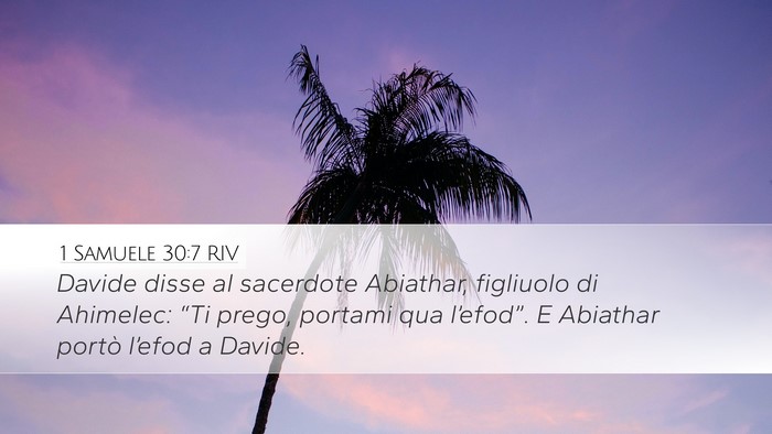 1 Samuele 30:7 RIV Bible Verse Image