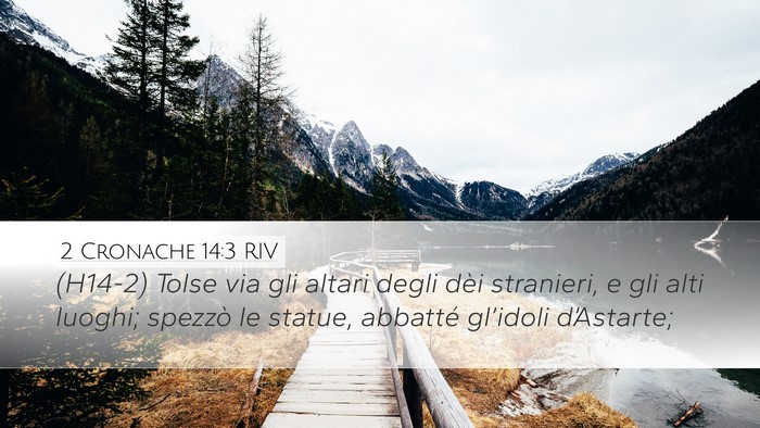 2 Cronache 14:3 RIV Bible Verse Image