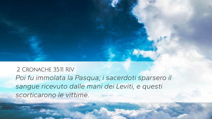 2 Cronache 35:11 RIV Bible Verse Image