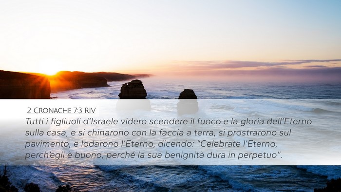 2 Cronache 7:3 RIV Bible Verse Image