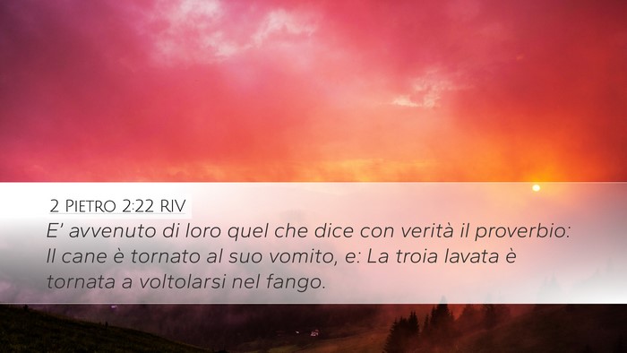 2 Pietro 2:22 RIV Bible Verse Image
