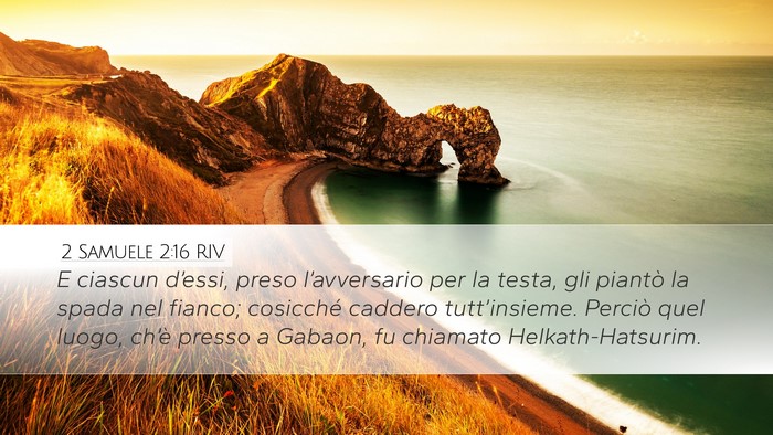 2 Samuele 2:16 RIV Bible Verse Image