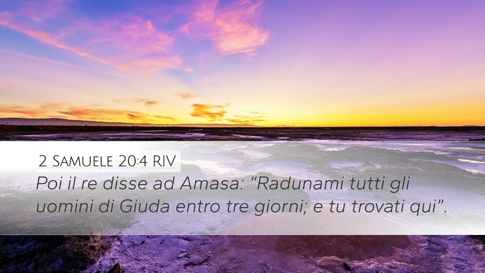 2 Samuele 20:4 RIV Bible Verse Image