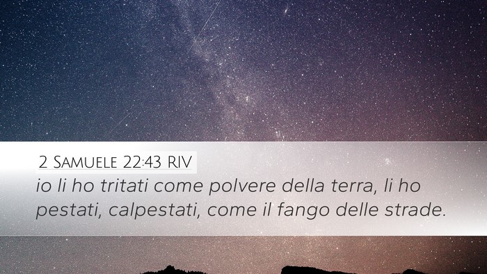 2 Samuele 22:43 RIV Bible Verse Image