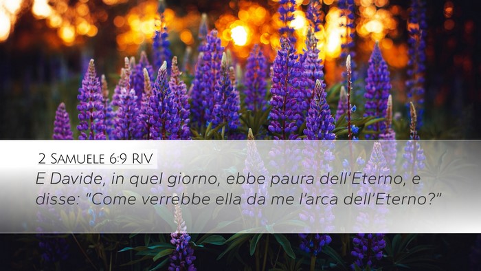 2 Samuele 6:9 RIV Bible Verse Image