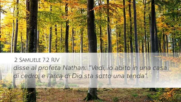2 Samuele 7:2 RIV Desktop Wallpaper - disse al profeta Nathan: “Vedi, io abito in una - Desktop Bible Verse Wallpaper