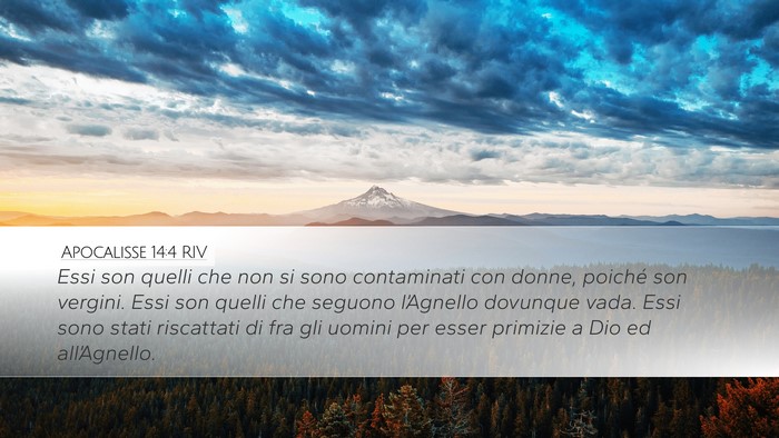 Apocalisse 14:4 RIV Bible Verse Image