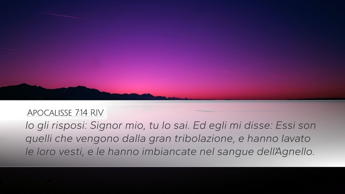 Apocalisse 7:14 RIV Bible Verse Image