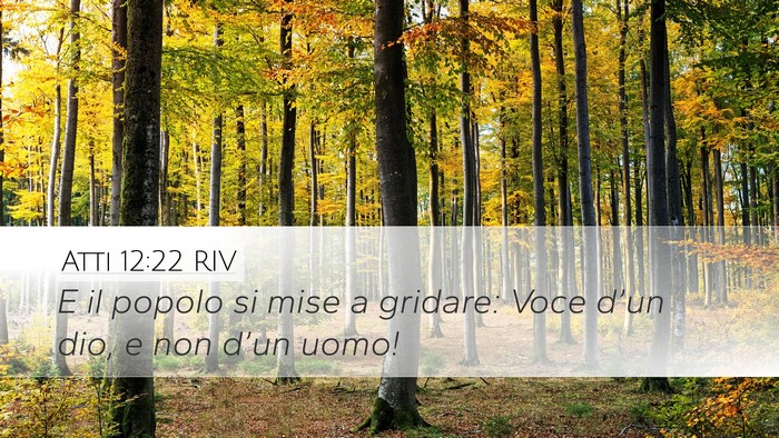 Atti 12:22 RIV Bible Verse Image