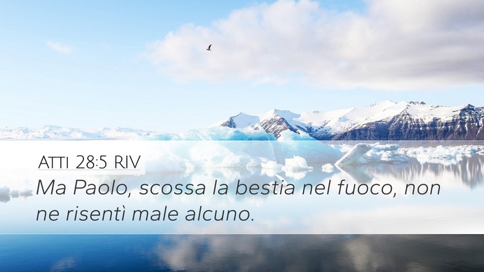 Atti 28:5 RIV Bible Verse Image