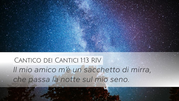 Cantico dei Cantici 1:13 RIV Bible Verse Image