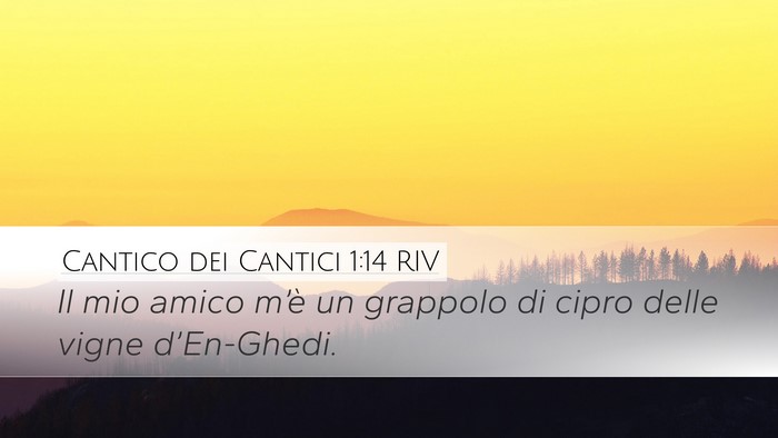 Cantico dei Cantici 1:14 RIV Bible Verse Image