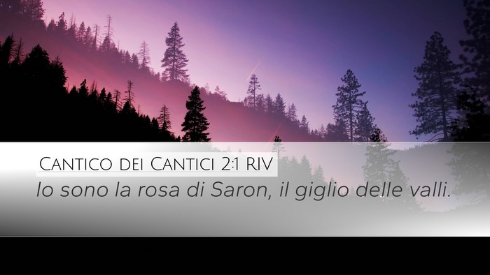 Cantico dei Cantici 2:1 RIV Bible Verse Image