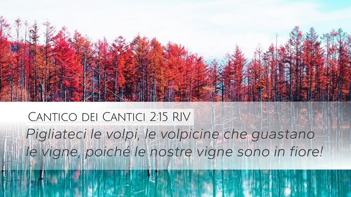 Cantico dei Cantici 2:15 RIV Bible Verse Image