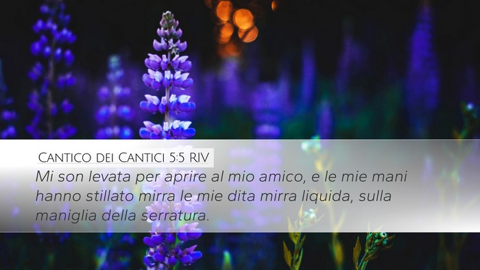 Cantico dei Cantici 5:5 RIV Bible Verse Image