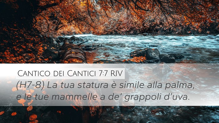 Cantico dei Cantici 7:7 RIV Desktop Wallpaper - (H7-8) La tua statura è simile alla palma, e le - Desktop Bible Verse Wallpaper