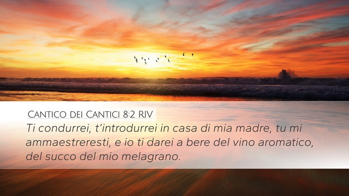 Cantico dei Cantici 8:2 RIV Bible Verse Image