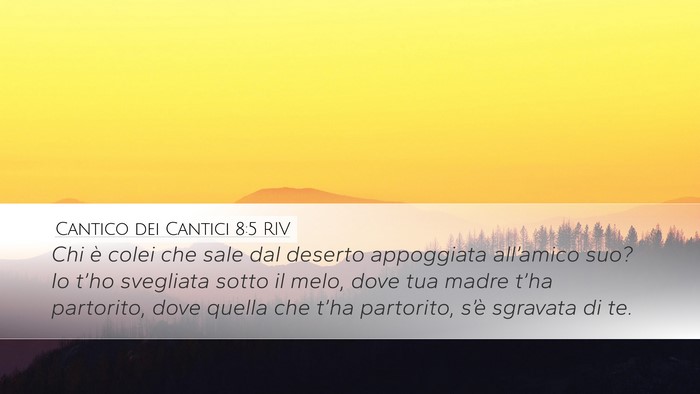 Cantico dei Cantici 8:5 RIV Bible Verse Image
