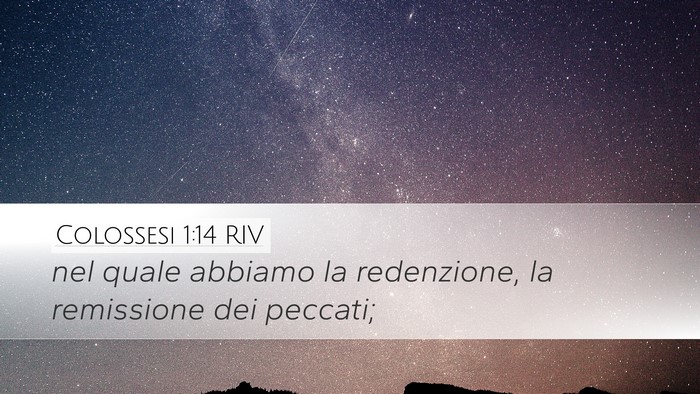 Colossesi 1:14 RIV Bible Verse Image