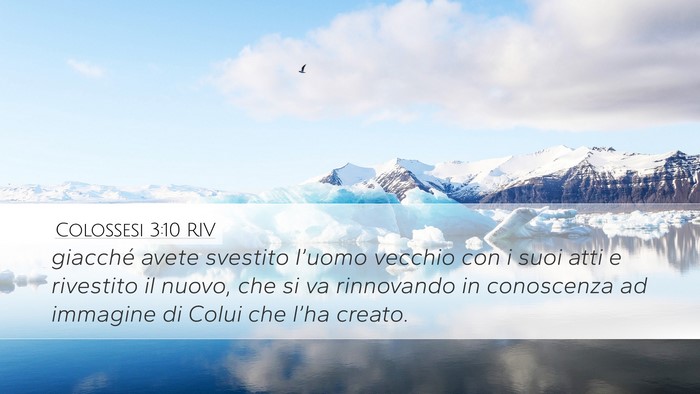 Colossesi 3:10 RIV Bible Verse Image