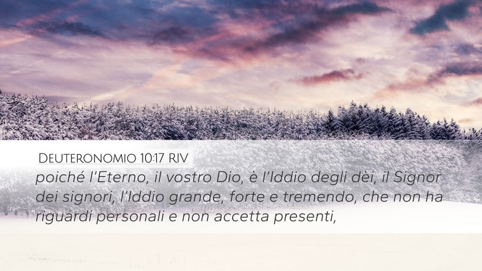 Deuteronomio 10:17 RIV Bible Verse Image